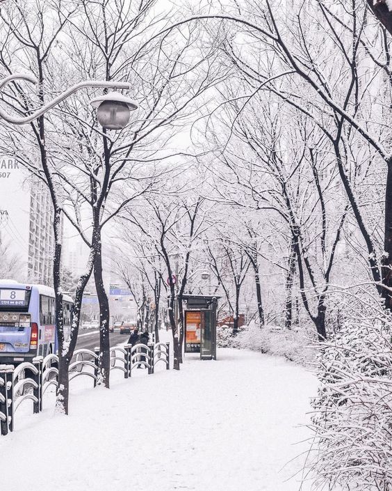 ❄️한국의 겨울❄️ | 인스티즈