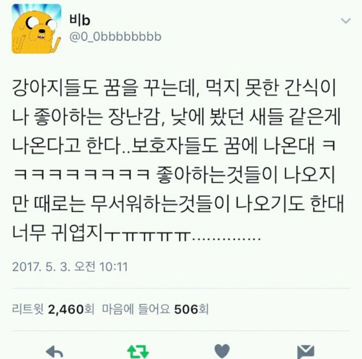 친구들이랑 시장 갔다가 멍멍이 봤어 고양이한테 맞고 우는중이래.jpg | 인스티즈