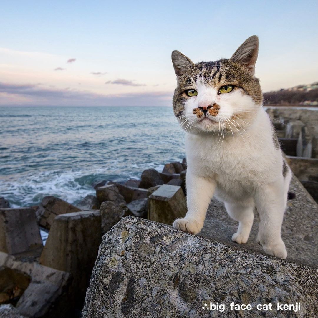 대두라고 불리는 아이 | 인스티즈