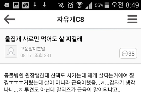 강아지 짤 모음(개많음) | 인스티즈