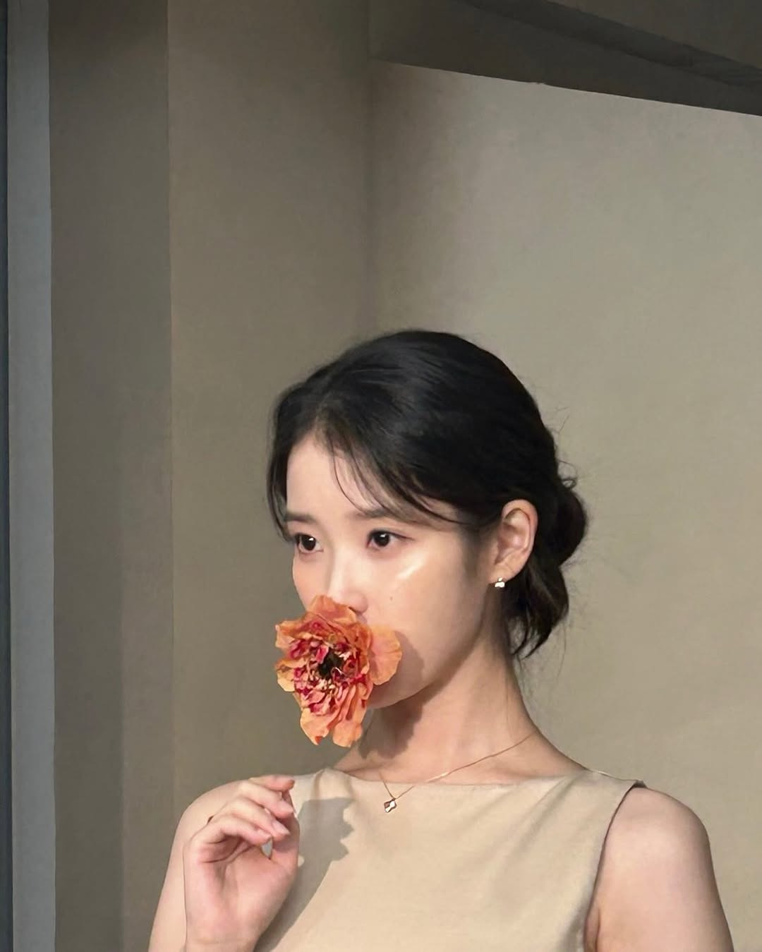 갓,지은 이미지