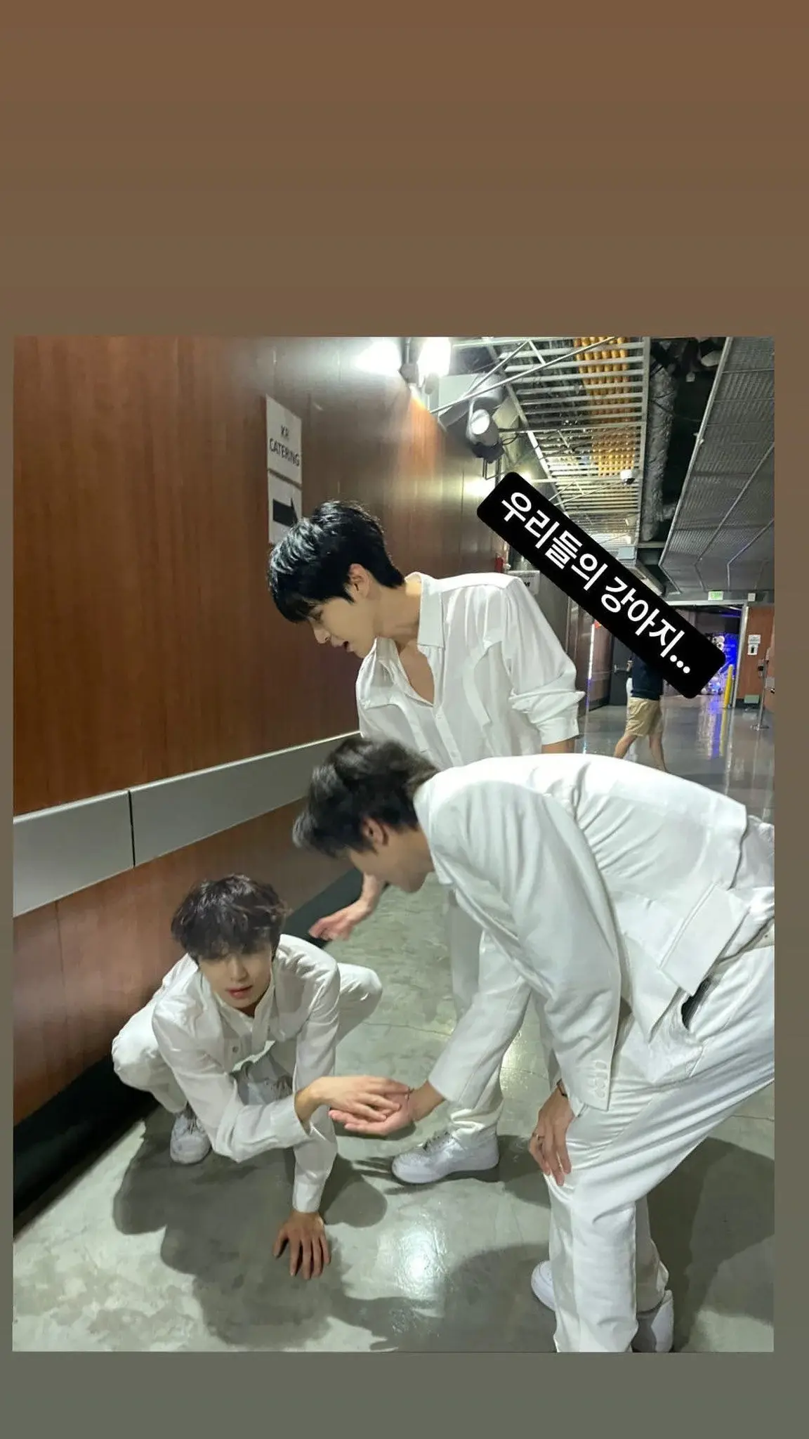 엔시티127의 강아지... | 인스티즈