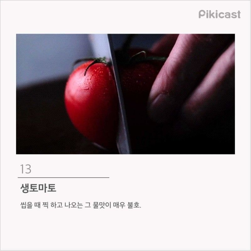 프로편식러 등급 | 인스티즈