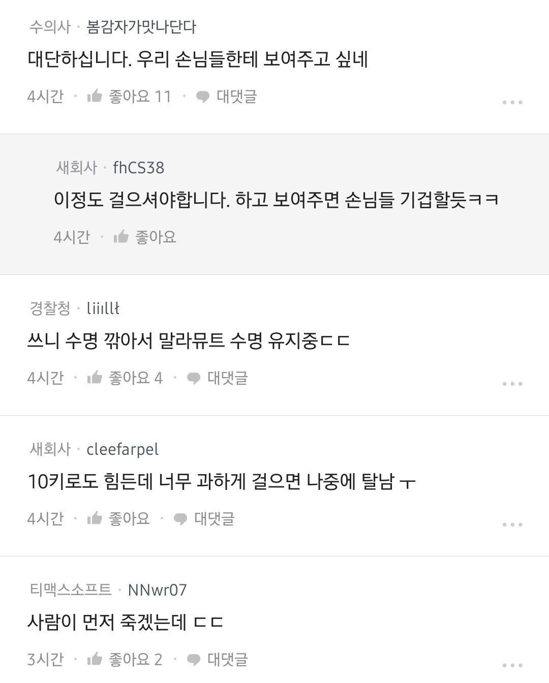하루에 40킬로미터 산책 시킨다는 말라뮤트 견주 | 인스티즈