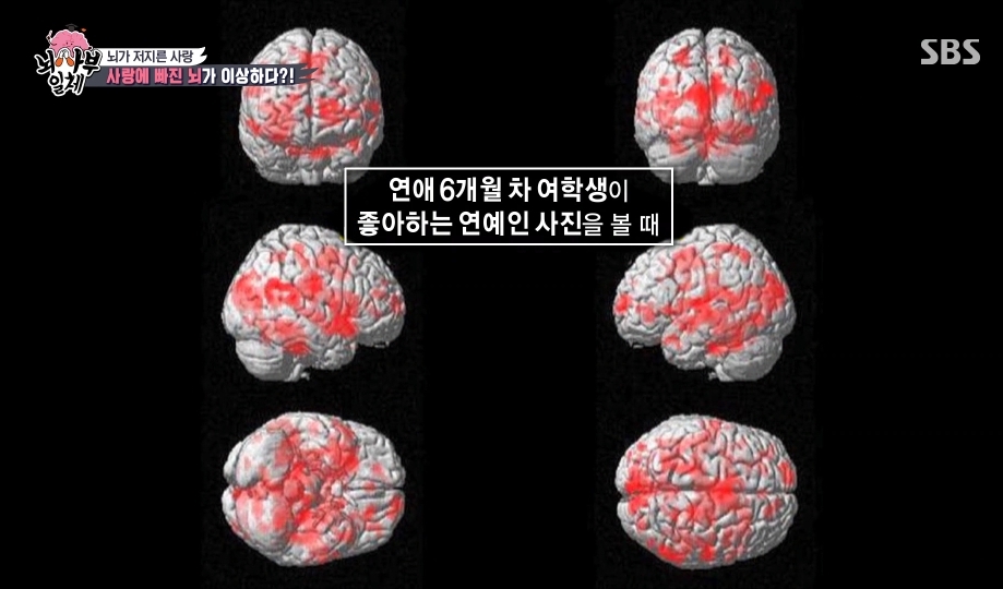 사랑이 필요없는 이유 | 인스티즈