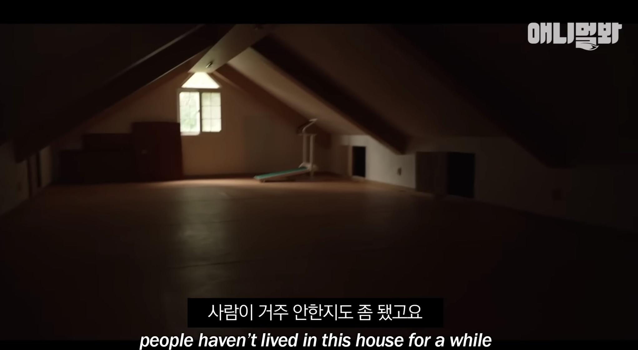 유기견들의 입양을 위해 논산에 집을 산 사람 | 인스티즈