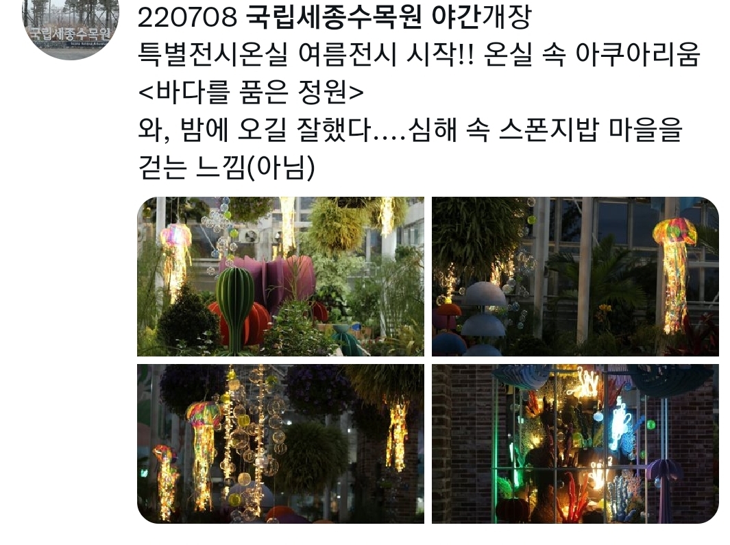야간개장한 국립세종수목원 | 인스티즈