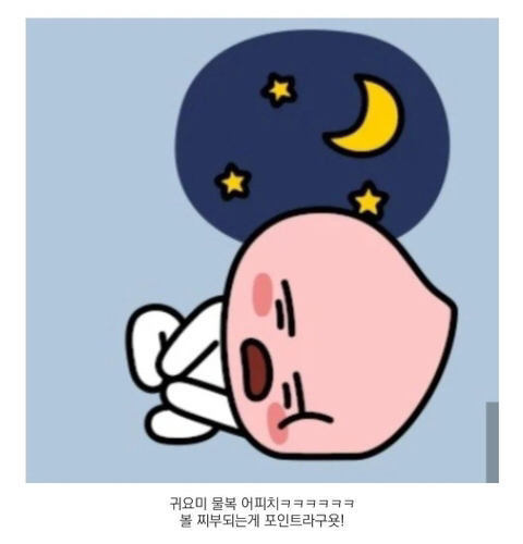 어피치는 물복인가요 딱복인가요? | 인스티즈