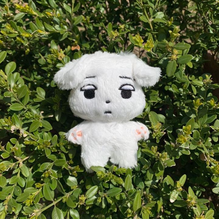 요즘 아이돌 팬들 사이 덕질 필수템 중에 하나인 것 | 인스티즈