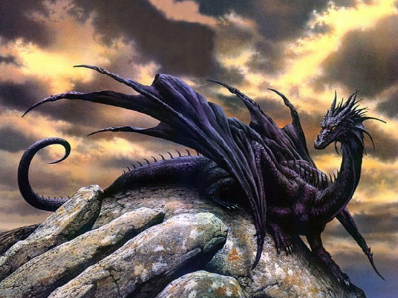 한 마리만 다스릴 수 있다면 고르고 싶은 환상의 동물은? | 인스티즈