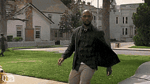 강아지 짤 모음(개많음) | 인스티즈