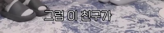 노견을 키우는 보호자들이 절대 하지 말아야할 것 | 인스티즈