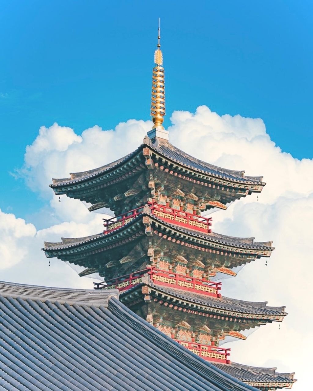 치킨 2마리 걸고 사진대회 열자 2시간 만에 나온 작품들. jpg | 인스티즈