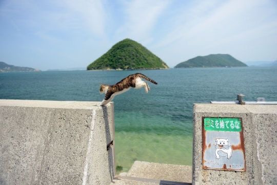 팔월 이미지