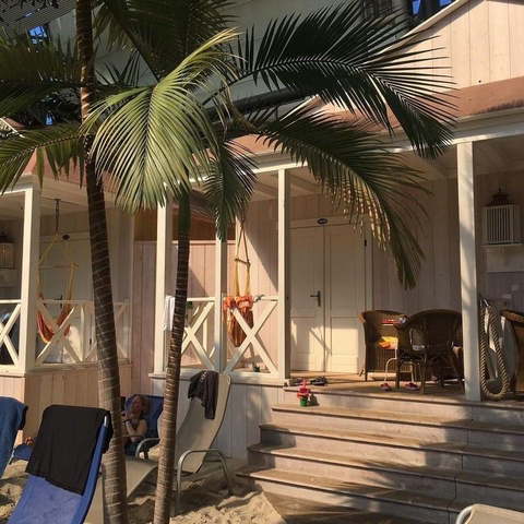 하와이는 정말 천국과 비슷하더군요. 그 바람과 햇빛의 느낌이 | 인스티즈