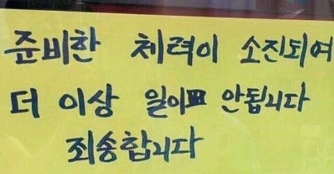 케이준 감자, 케이준 소스… 케이준은 뭘까? | 인스티즈
