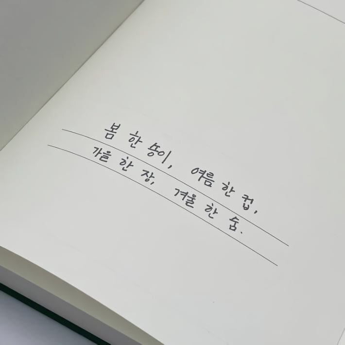 아이유에게 사계절을 간결하게 표현해달라 부탁했다 | 인스티즈
