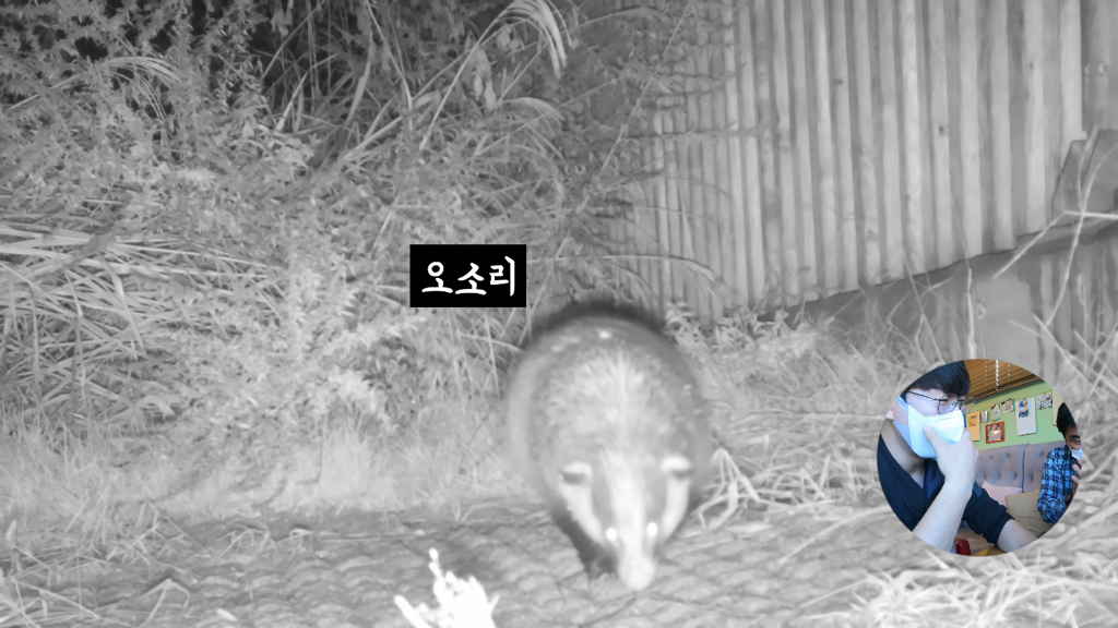 고속도로에 있는 생태통로 진짜 야생동물이 다닐까? | 인스티즈