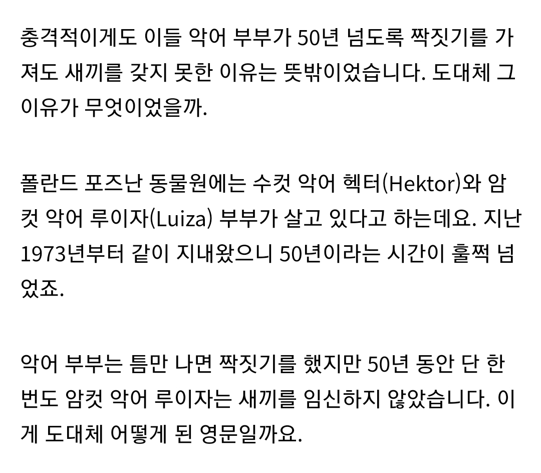 50년 넘도록 짝짓기했는데도 불구하고 수컷 악어가 암컷 악어를 임신 시키지 못한 충격적인 반전 이유 | 인스티즈