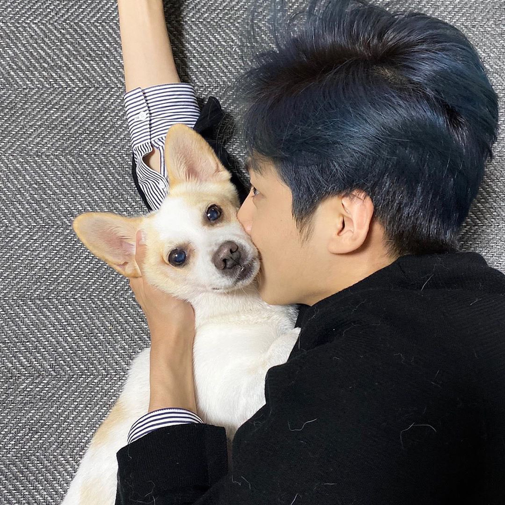 강아지별로 떠난 전 엑스원 이은상 반려견 웅이 | 인스티즈