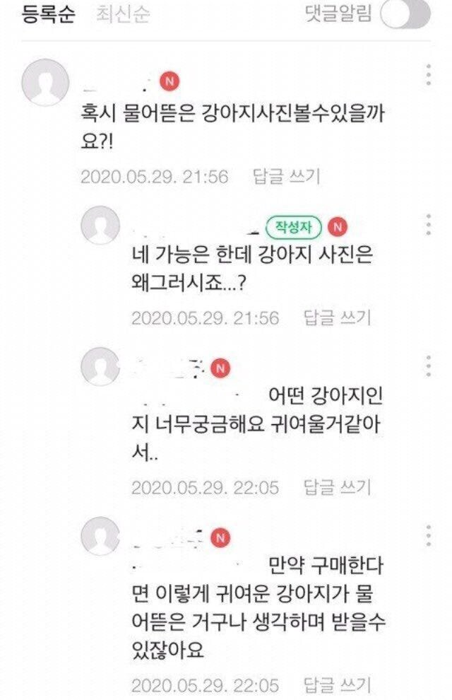 혹시 물어뜯은 강아지 사진 볼 수 있을까요? | 인스티즈