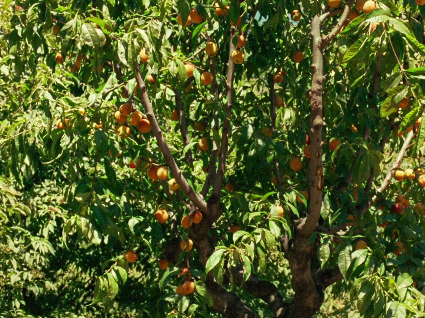 눈 감았다 뜨면 6월이야! 6월이면 곧이에요 곧! | 인스티즈