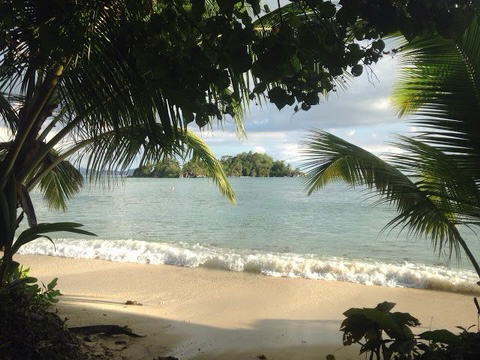 하와이는 정말 천국과 비슷하더군요. 그 바람과 햇빛의 느낌이 | 인스티즈