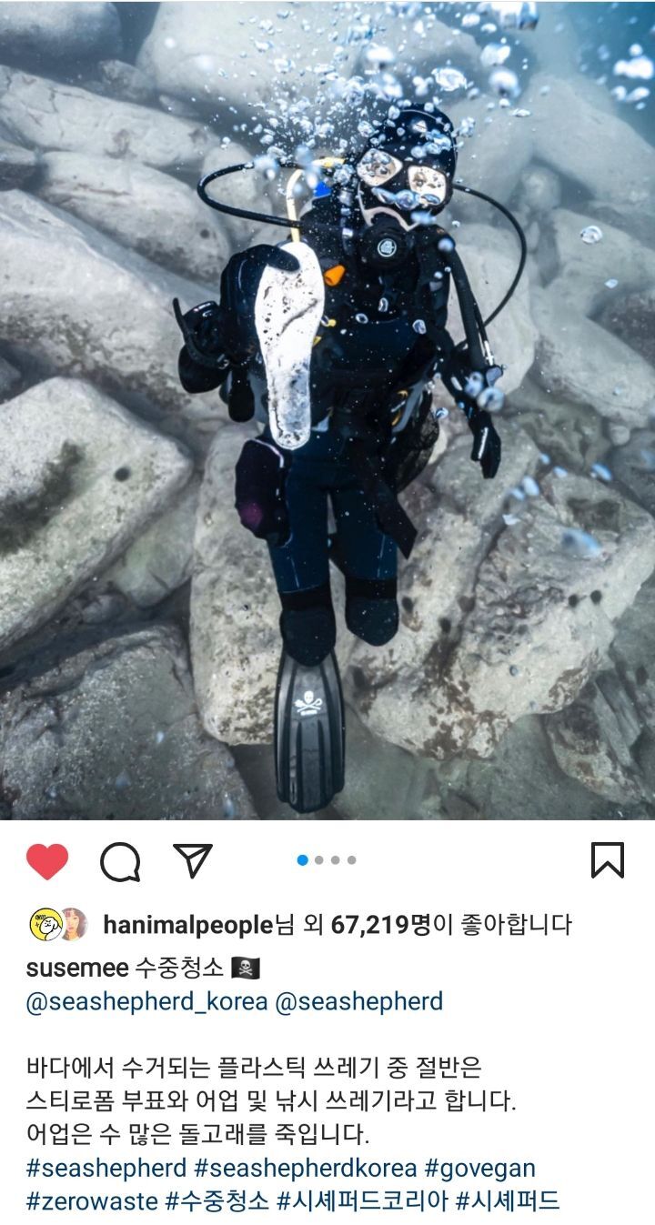 선한 영향력을 보여주는 배우 임세미의 인스타 피드 | 인스티즈