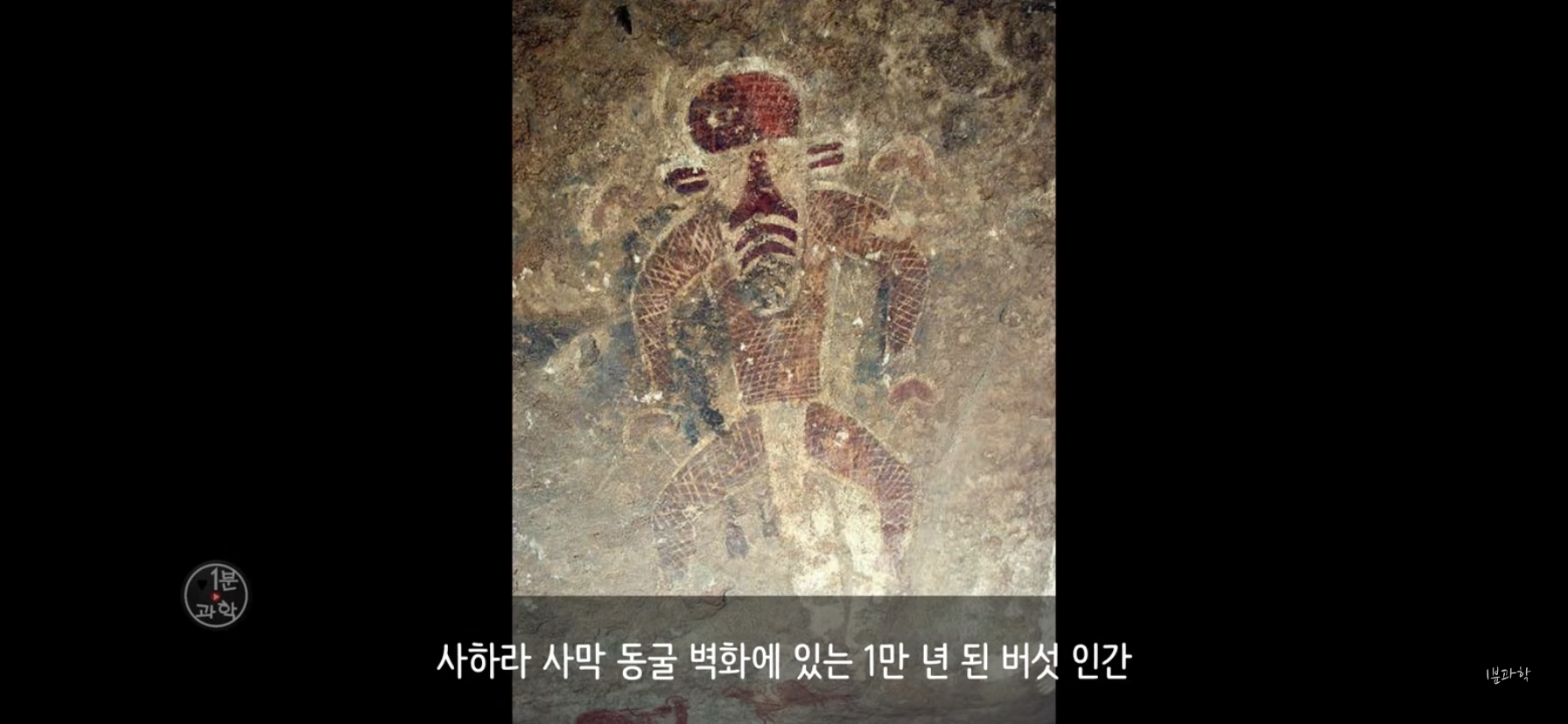 전세계에서 금지된 마약 | 인스티즈