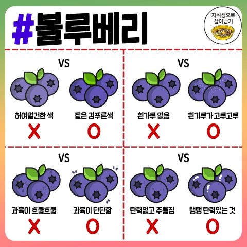 맛있는 과일 고르는 방법.jpg | 인스티즈