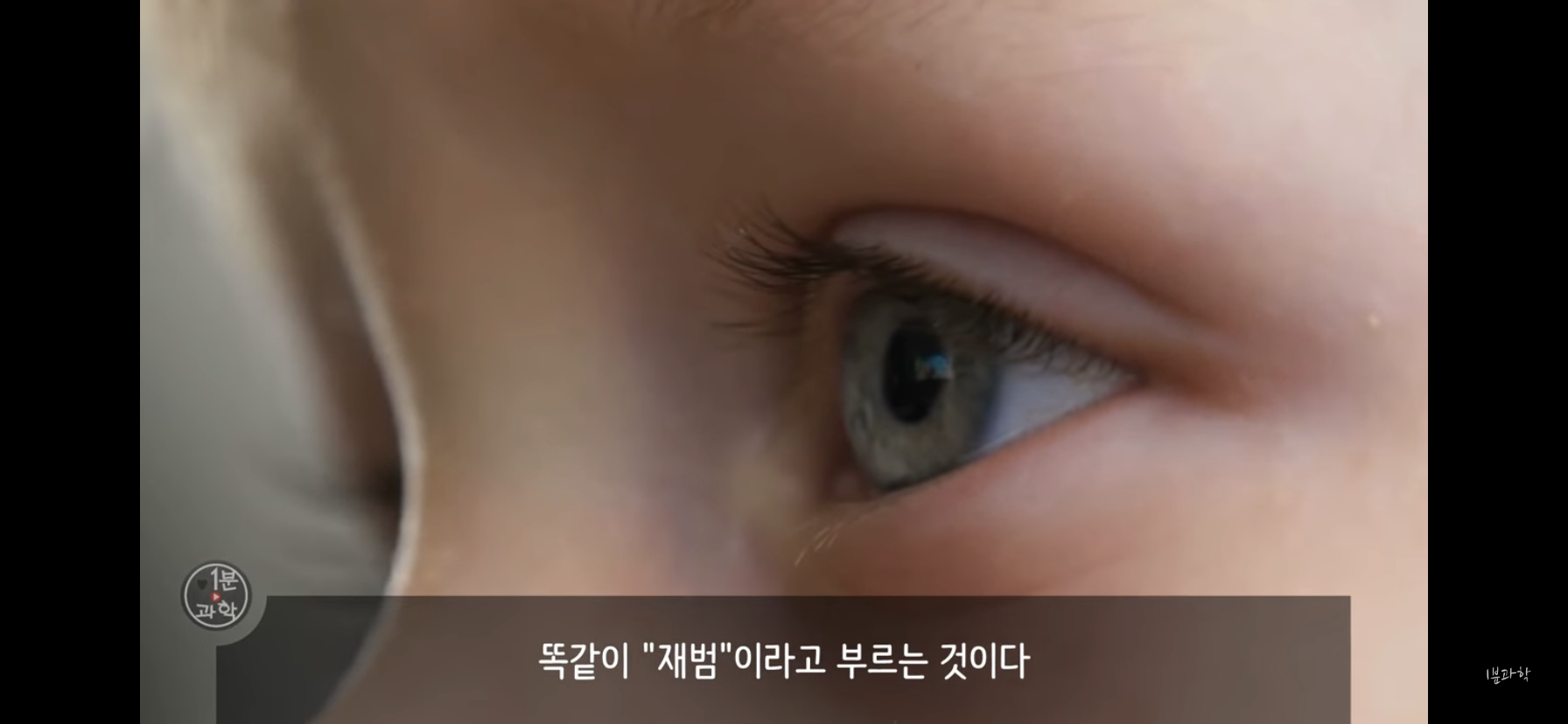 전세계에서 금지된 마약 | 인스티즈