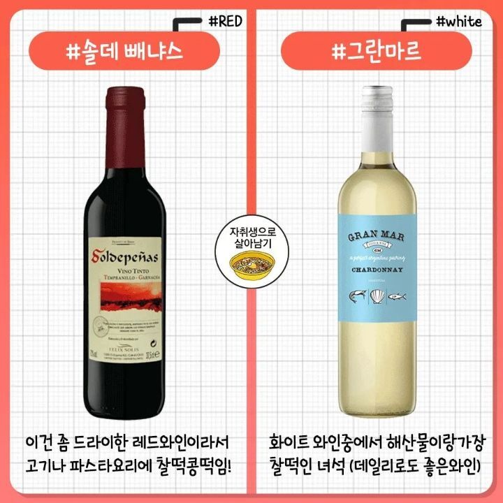레드/화이트 와인 추천 모음.jpg | 인스티즈