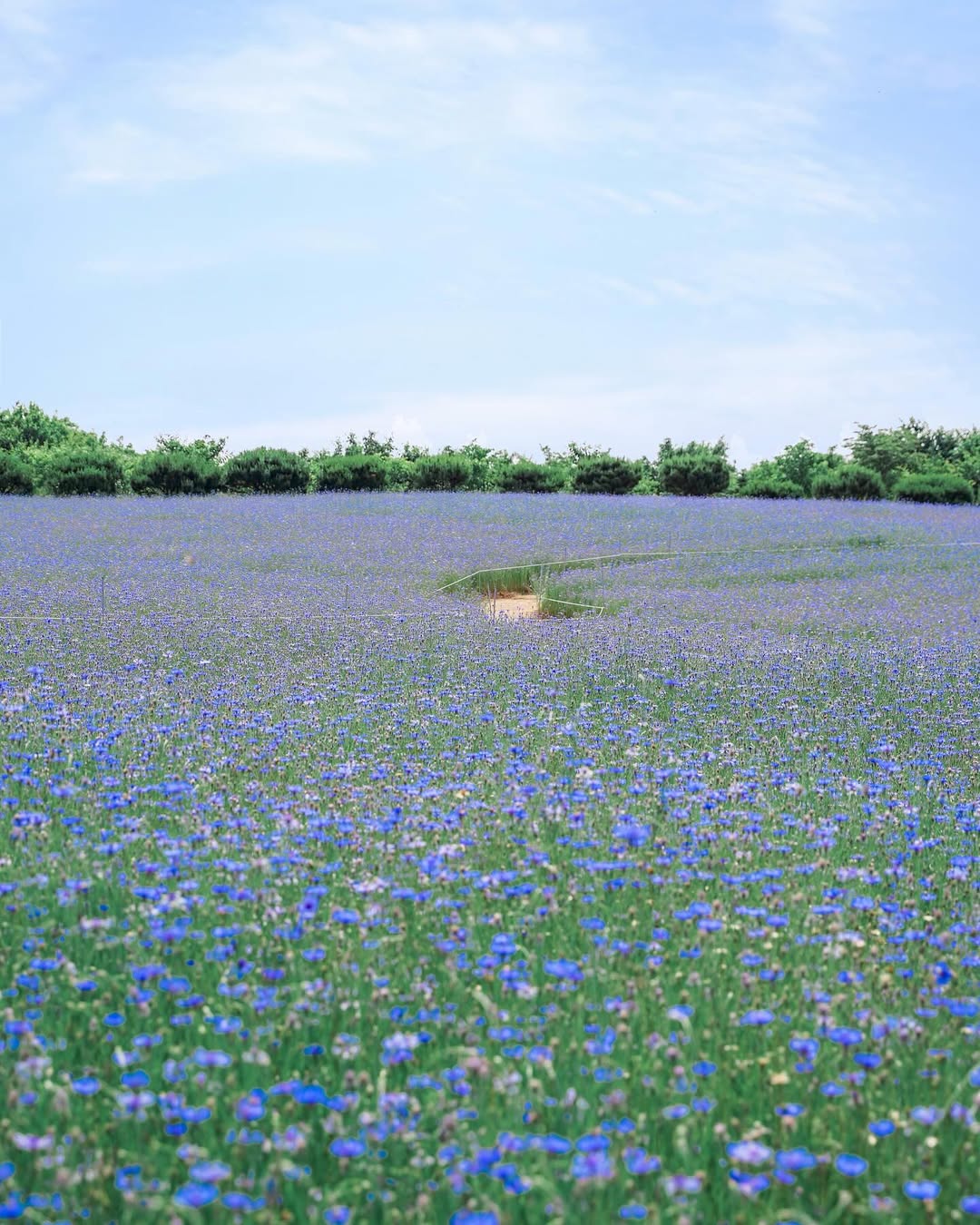 한국관광공사 계정에서 볼 수 있는 한국 | 인스티즈