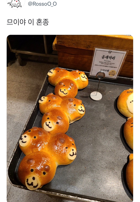 곰세마리가 한몸에 있어… | 인스티즈