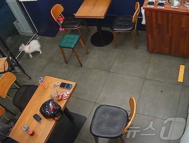 "무인 매장 CCTV 아래서 커플 성행위, 두눈 의심"…점주 '분통' | 인스티즈