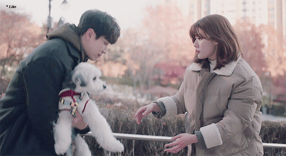 [365:운명을거스르는1년] 애정씬 하나없이 애틋했던 장르물 속 남주-여주 서사.gif | 인스티즈