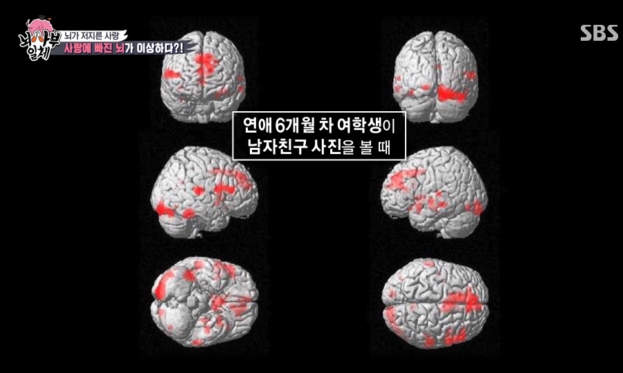 사랑이 필요없는 이유 | 인스티즈