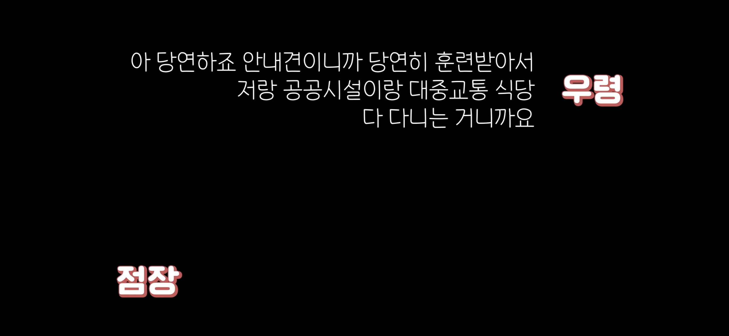 아직도 안내견 거부하는 식당 | 인스티즈