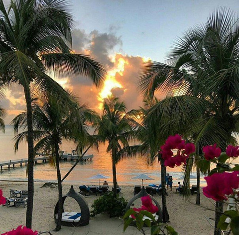 하와이는 정말 천국과 비슷하더군요. 그 바람과 햇빛의 느낌이 | 인스티즈