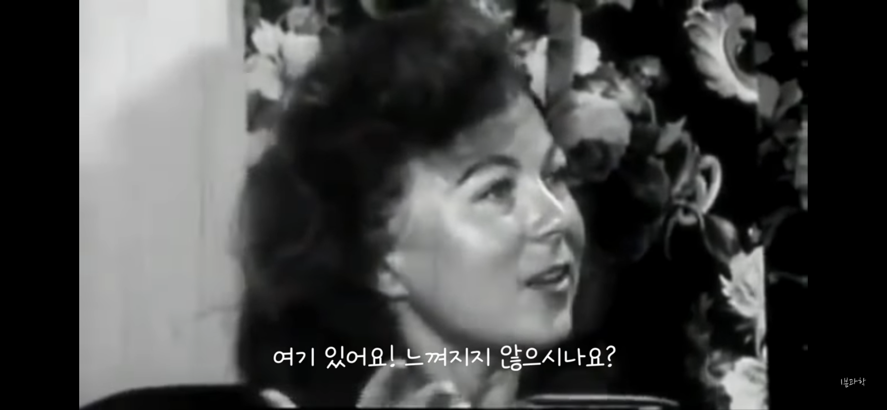 전세계에서 금지된 마약 | 인스티즈