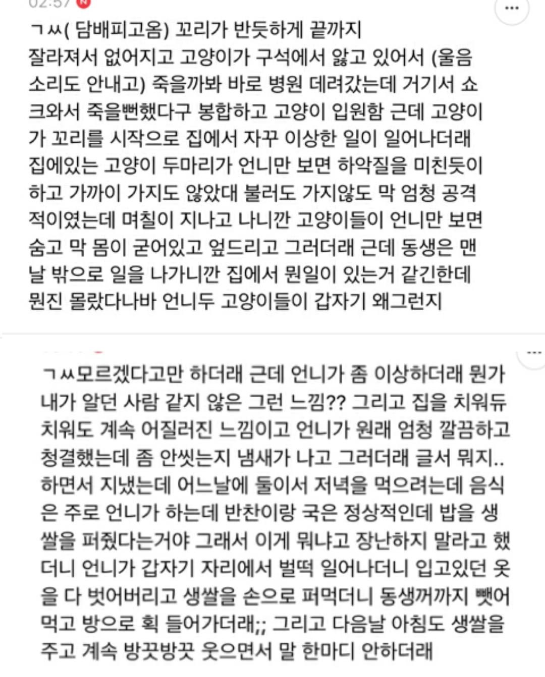 집 무나해도됨?? 레알로 | 인스티즈