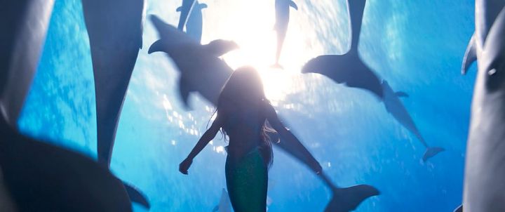 디즈니 인어공주(2023) Official Trailer 8K영상 캡쳐 | 인스티즈