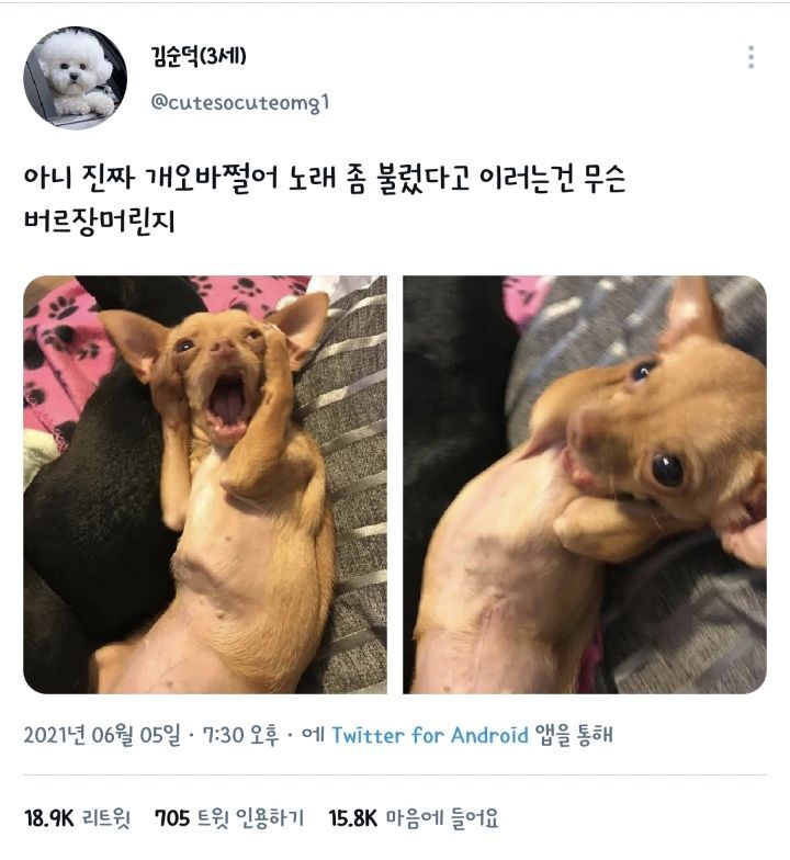 아니 진짜 개오바쩔어 노래 좀 불렀다고 이러는건 무슨 버르장머린지 | 인스티즈