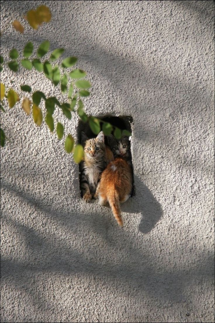 진짜로 끝나버렸어 여름! | 인스티즈