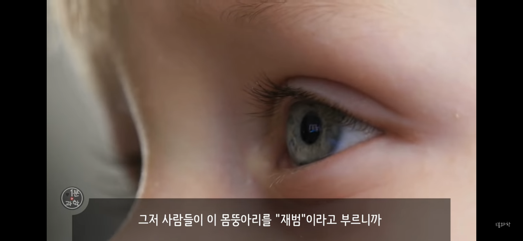 전세계에서 금지된 마약 | 인스티즈