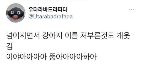 겨울에 산책하던 중 생각지도 못한 눈썰매 타버림 | 인스티즈