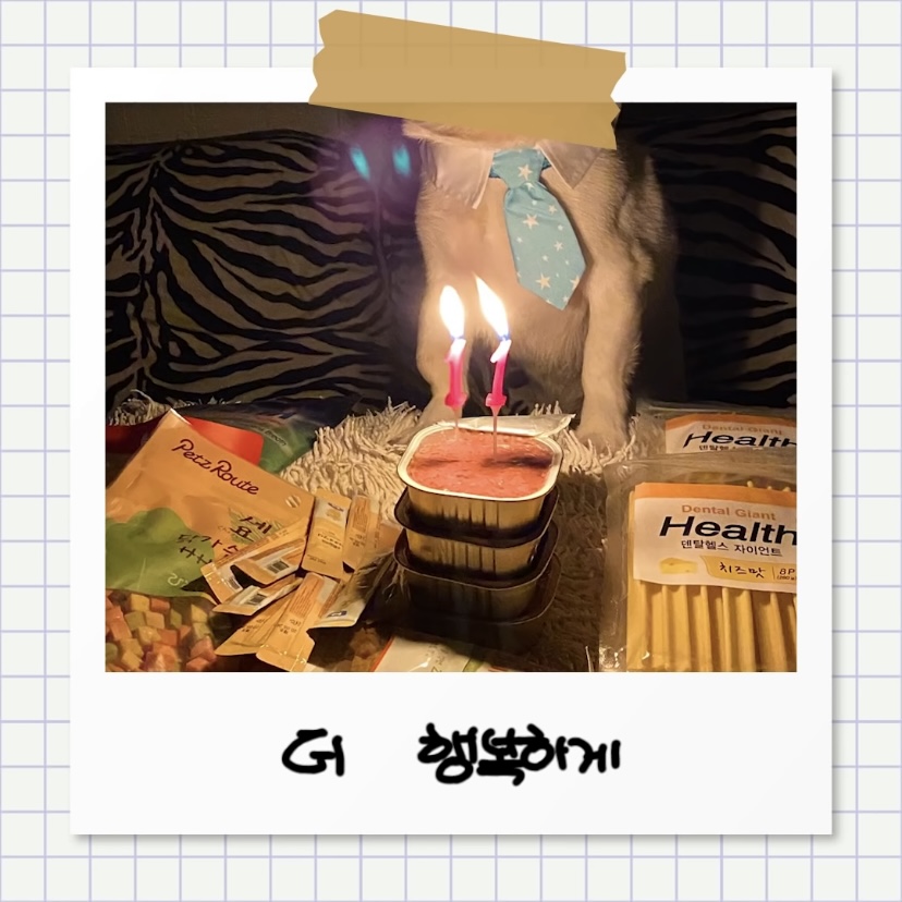 강아지별로 떠난 전 엑스원 이은상 반려견 웅이 | 인스티즈