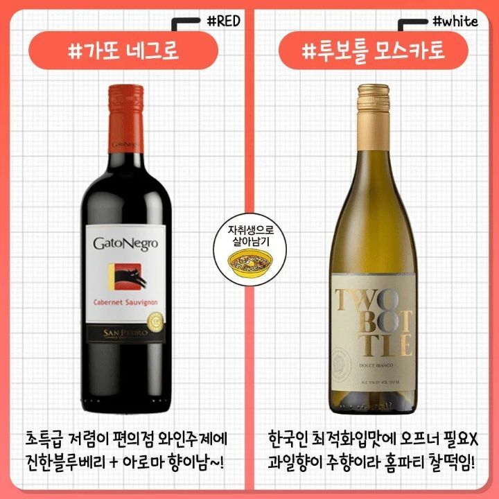 레드/화이트 와인 추천 모음.jpg | 인스티즈