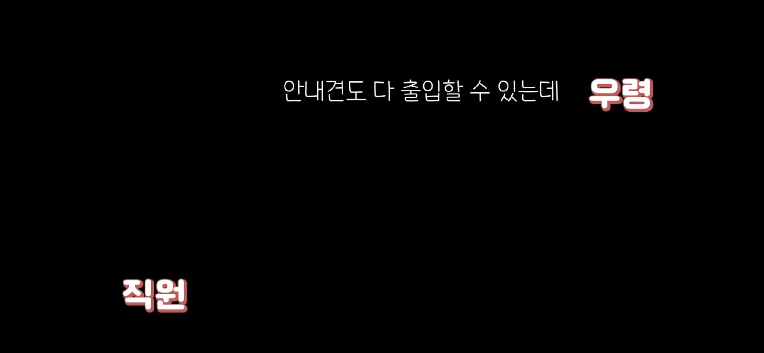 아직도 안내견 거부하는 식당 | 인스티즈