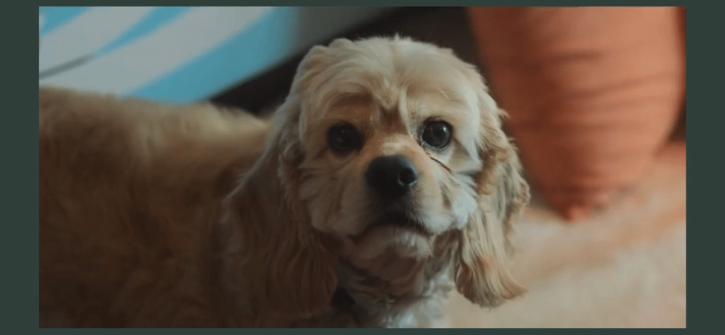 더 글로리 파트2에서 다들 긴장한 장면.twt (스포⭕️) | 인스티즈